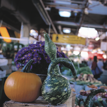 Le pouvoir d’attraction des marchés publics